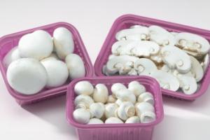 An incredibly tasty and healthy product: the undeniable benefits of champignons