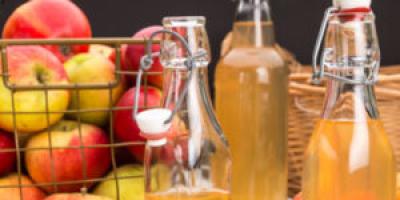 Apple juice for the winter obtained from a juicer: tips, recipes, description